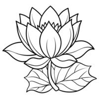 Lotus Flower outline illustration coloring book page design, Lotus Flower black and white line art drawing coloring book pages for children and adults vector