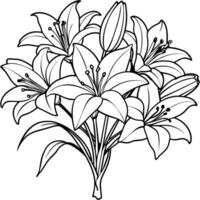 Lily Flower outline illustration coloring book page design, Lily Flower black and white line art drawing coloring book pages for children and adults vector