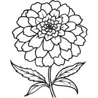 Marigold Flower Bouquet outline illustration coloring book page design, Marigold Flower Bouquet black and white line art drawing coloring book pages for children and adults vector