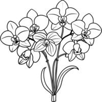 Orchid flower outline illustration coloring book page design, Orchid flower Bouquet black and white line art drawing coloring book pages for children and adults vector