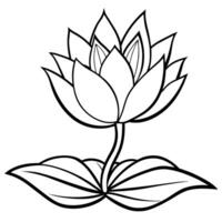 Lotus Flower outline illustration coloring book page design, Lotus Flower black and white line art drawing coloring book pages for children and adults vector