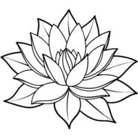 Lotus Flower outline illustration coloring book page design, Lotus Flower black and white line art drawing coloring book pages for children and adults vector