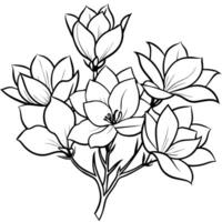 Magnolia Flower outline illustration coloring book page design, Magnolia Flower black and white line art drawing coloring book pages for children and adults vector