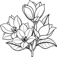 Magnolia Flower outline illustration coloring book page design, Magnolia Flower black and white line art drawing coloring book pages for children and adults vector