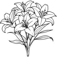 Lily Flower outline illustration coloring book page design, Lily Flower black and white line art drawing coloring book pages for children and adults vector