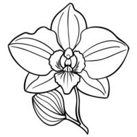 Orchid flower outline illustration coloring book page design, Orchid flower Bouquet black and white line art drawing coloring book pages for children and adults vector
