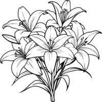 Lily Flower outline illustration coloring book page design, Lily Flower black and white line art drawing coloring book pages for children and adults vector