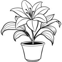 Lily Flower outline illustration coloring book page design, Lily Flower black and white line art drawing coloring book pages for children and adults vector