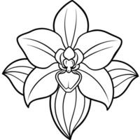 Orchid flower outline illustration coloring book page design, Orchid flower Bouquet black and white line art drawing coloring book pages for children and adults vector