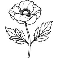 Poppy Flower outline illustration coloring book page design, Poppy Flower black and white line art drawing coloring book pages for children and adults vector