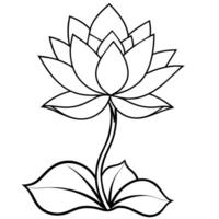 Lotus Flower outline illustration coloring book page design, Lotus Flower black and white line art drawing coloring book pages for children and adults vector