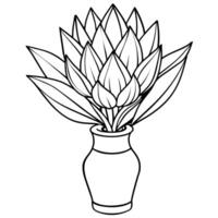 Protea flower outline illustration coloring book page design, Protea flower black and white line art drawing coloring book pages for children and adults vector