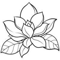 Magnolia flower outline illustration coloring book page design,Magnolia flower black and white line art drawing coloring book pages for children and adults vector