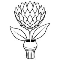 Protea flower outline illustration coloring book page design, Protea flower black and white line art drawing coloring book pages for children and adults vector