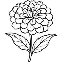 Marigold Flower Bouquet outline illustration coloring book page design, Marigold Flower Bouquet black and white line art drawing coloring book pages for children and adults vector