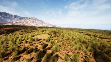 een enorm woestijn landschap met majestueus bergen in de afstand video