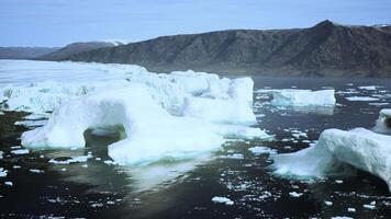 flotante icebergs en un sereno cuerpo de agua video