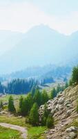 chemin de montagne randonnée vers les sentiers des bois video