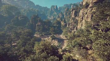 une scénique vue de une Montagne avec des arbres et montagnes dans le Contexte video