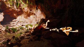 un natural cueva con un abundancia de rocas y planta vida video