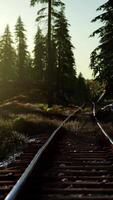 höstfärger längs ett järnvägsspår vid solnedgången video