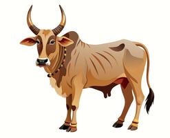 Indian bull of the Khilari breed vector