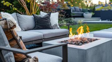 From the sleek and stylish fire pit to the contemporary outdoor furnishings every element of the backyard has been carefully curated to create a luxurious and inviting 2d flat cartoon photo