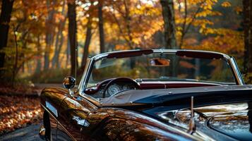 The elegant lines of a sleek convertible are highlighted by the vibrant colors of the changing leaves during a fall drive photo