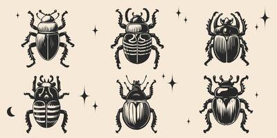 mano dibujado escarabajos y loco colocar. Clásico y2k tatuaje tinta estilo, realista grabado. decorativo insecto gráfico aislado en antecedentes para imprimir, tatuaje, póster, tarjeta. monocromo vector