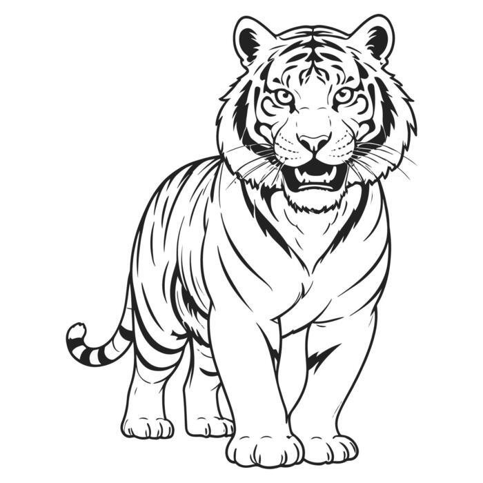 Tiger Outline Vector Art Icons and Graphics for Free Download Tiger Outline Vector Art Icons and Graphics for Free Download