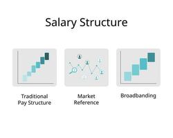 Types of pay structure or salary structure for traditional pay, market reference, broadbanding vector