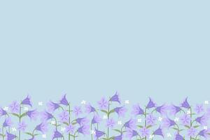 Sweden national flower emblem harebell or Campanula rotundifolia background border frame vector
