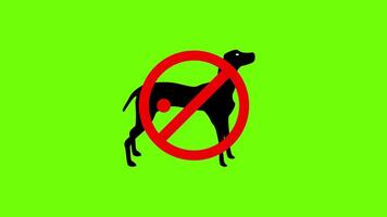 no cane permesso, animali domestici vietato e no cane cartello su verde schermo sfondo 2d animazione proibire cartello video
