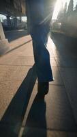 fêmea pernas dentro jeans e Preto sapatos andar dentro a pôr do sol claro. video