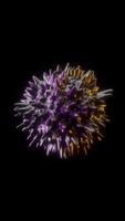 abstrakt boll med lila och gul lampor vertikal animering video