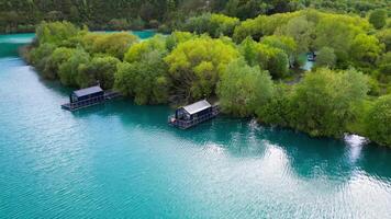 in riva al lago serenità un' galleggiante casa in mezzo della natura abbraccio video