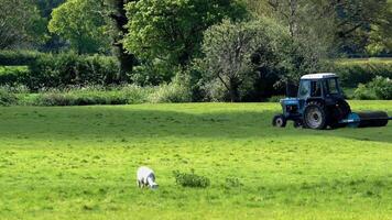 el laminación pastos vida en el granja video