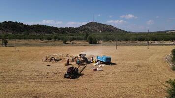 Farmers Harvesting Wheat Drone View video