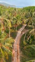 Aerial view of woman riding a scooter on a tropical island in Thailand. video