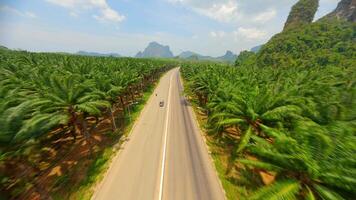 fpv do uma carro dirigindo ao longo uma cênico estrada dentro krabi província, tailândia. video