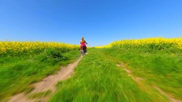 fpv von Frau im rot Kleid und Hund Reiten ein Jahrgang Motorrad im das Landschaft video