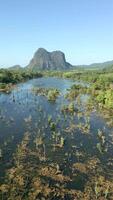 antenn se av pittoresk landskap av spegel sjö i krabi, thailand. video