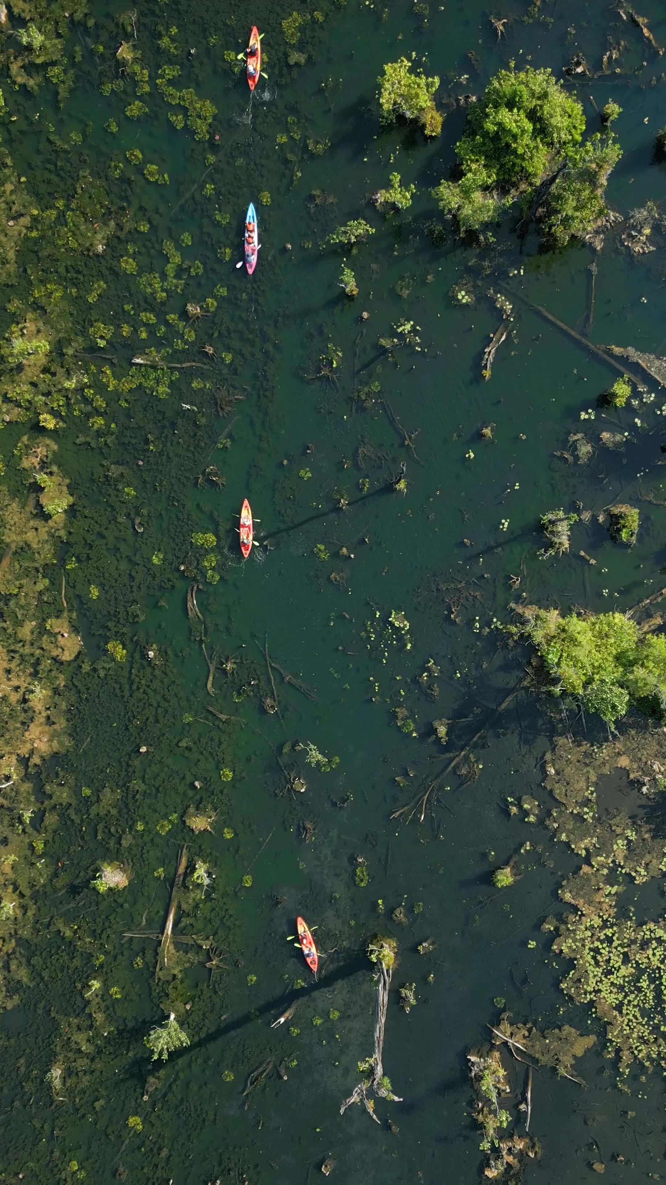 Top view of tourists kayaking on Mirror Lake in Krabi, Thailand