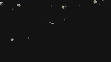 Isolated falling snow on black screen video