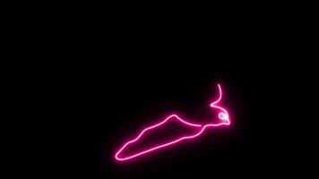 Self drawing animation with one continuous line draw, logo, neon pink luminous swallow video