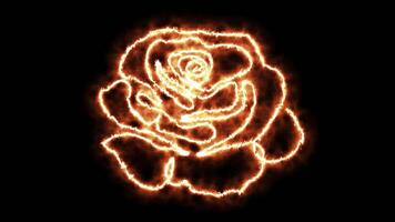 logotyp animation, eldig ros, brinnande blomma video