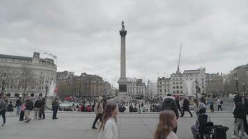 London, vereinigt Königreich - - April 2, 2024 - - Trafalgar Quadrat, das National Galerie, Nelsons Säule Monument, Statuen und Skulpturen video