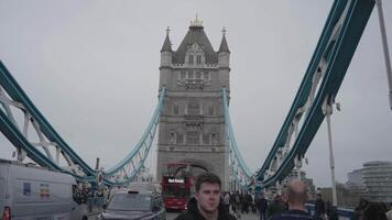 london, förenad rike - april 2, 2024 - flicka med en delfin fontäntorn bro bascule och suspension bro över flod thames video