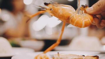 Shrimp in hand is prepared for cooking. video