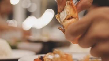 Shrimp in hand is prepared for cooking. video